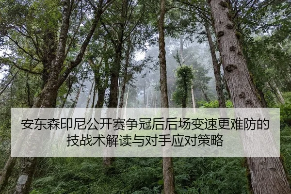 an-dong-sen-yin-ni-gong-kai-sai-zheng-guan-hou-hou-chang-bian-su-geng-nan-fang-de-ji-zhan-shu-jie-du-yu-dui-shou-ying-2-908.jpg