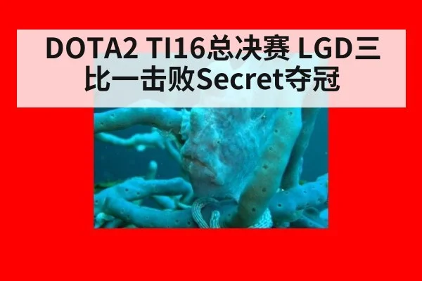 DOTA2 TI16总决赛 LGD三比一击败Secret夺冠